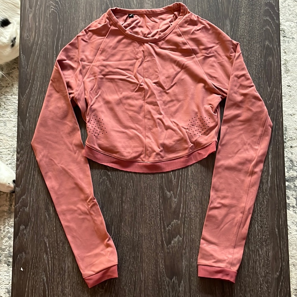 Whitney Simmons V1 long sleeve crop top